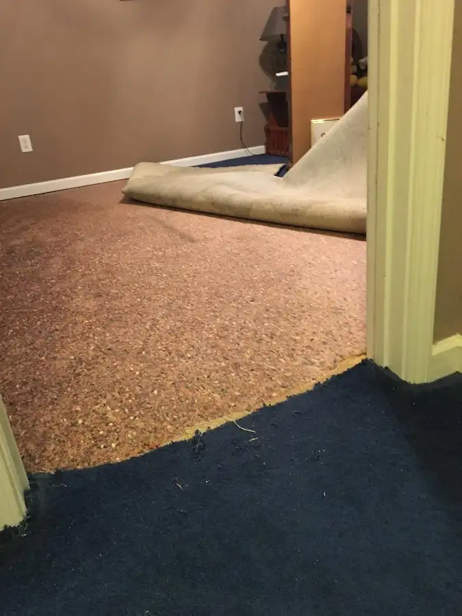 Carpet pad removal revealing water damage during Water Mitigation Services in Rutherford