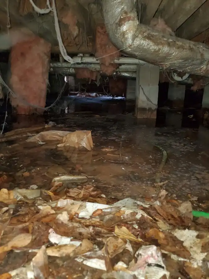 Crawl space flood assessment for Leak Detection & Repair in Rutherford